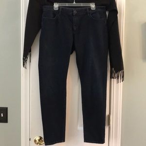 Banana Republic Dark Denim Jeggings